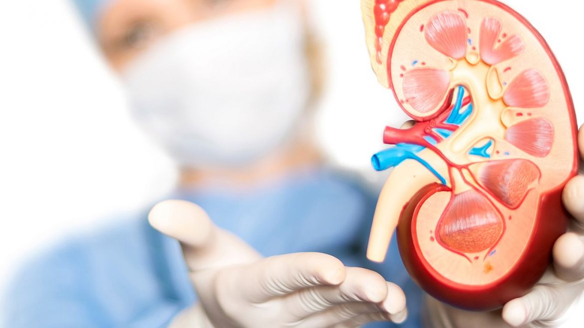 Quando agendar uma consulta com um urologista