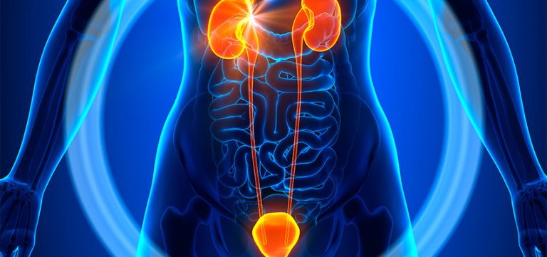 Como prevenir a infecção urinária